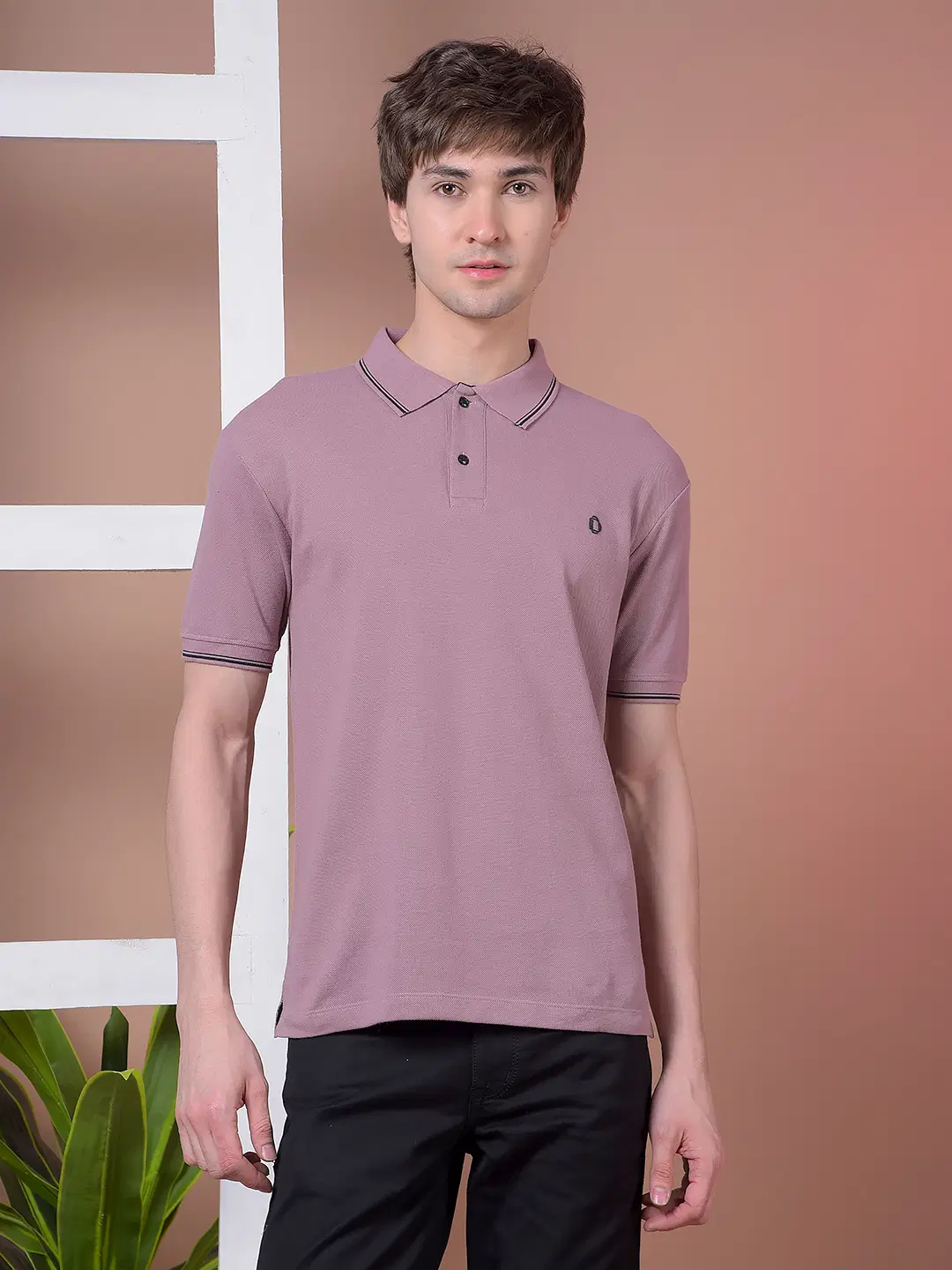 Men Cotton Regular Fit Solid Polo T Shirt ( Purple )
