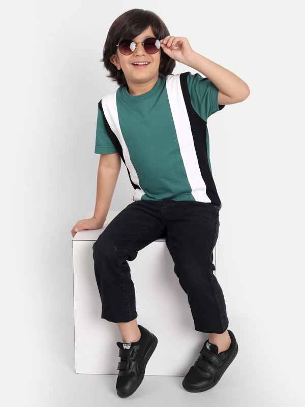 Boys Colorblock Pure Cotton Regular T Shirt (Multicolor, Pack of 1)
