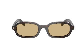 Oval Sunglasses