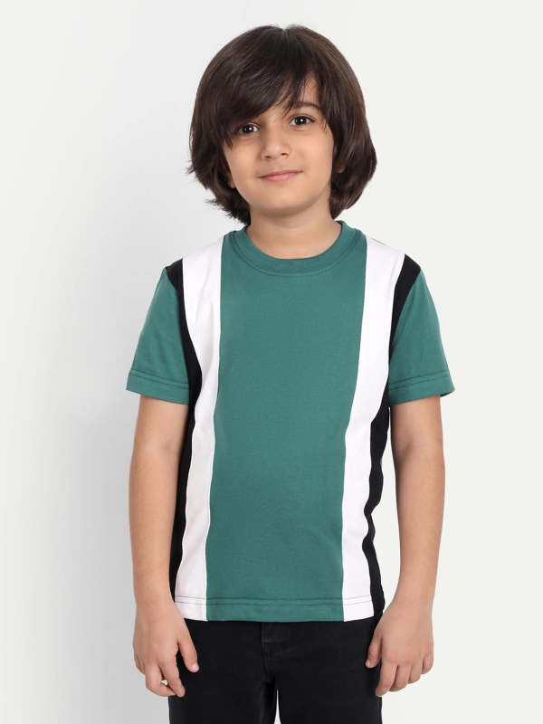Boys Colorblock Pure Cotton Regular T Shirt (Multicolor, Pack of 1)